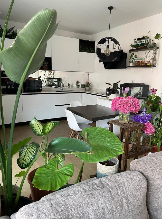Mowgli House - Milano Luxury Apartment Private Room Eksteriør billede